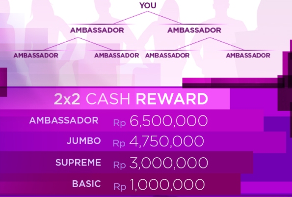 Promo Jeunesse 13 Juta