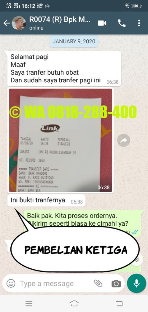 agen reserve obat ginjal asli